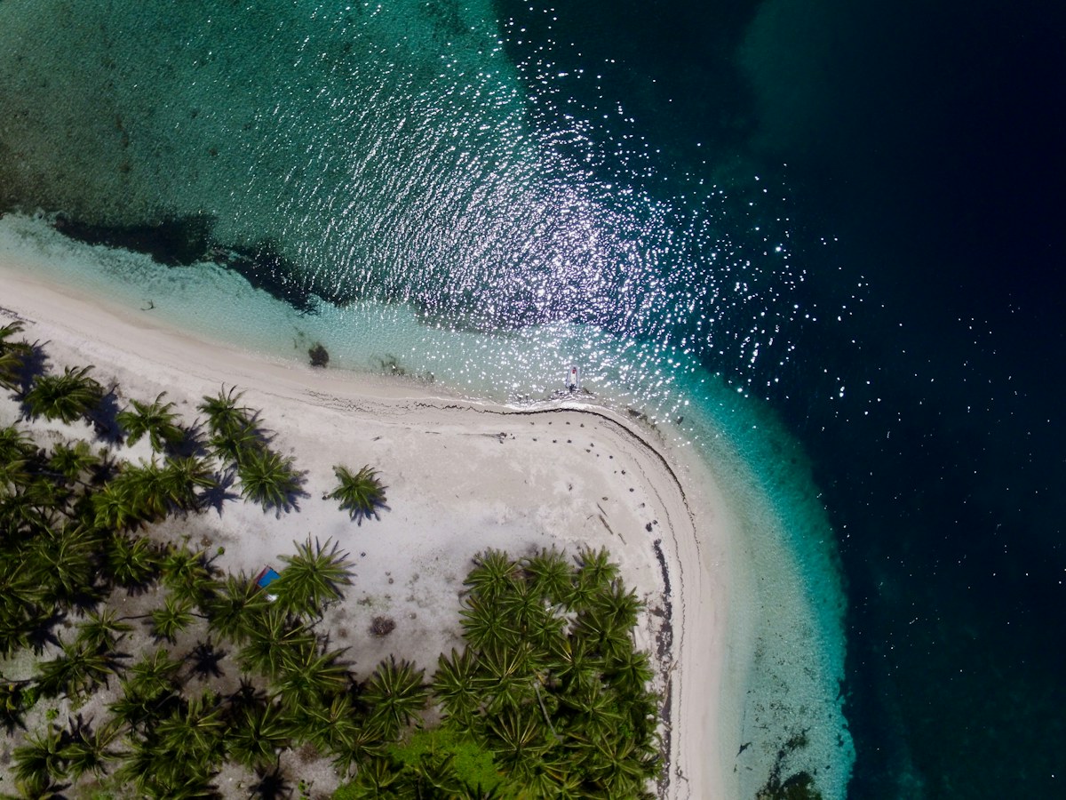 Costa tropical y naturaleza